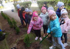 Tropiciele posadzili swoje sadzonki