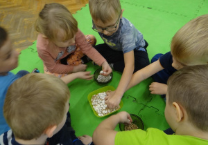 Przedszkolaki segregują groch i fasolę