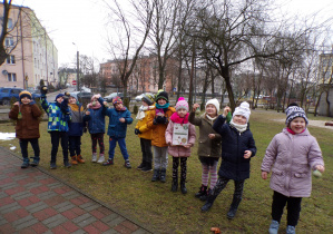 Wynalazcy pokazują czym dokarmiamy ptaki