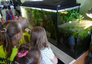 Dzieci oglądają rybki