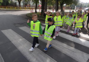 Myśliciele uczą się poprawnie przechodzić po pasach