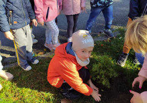 Chłopiec pomaga przy sadzeniu drzewa