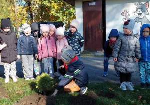 Dzieci pomagają sadzić drzewko
