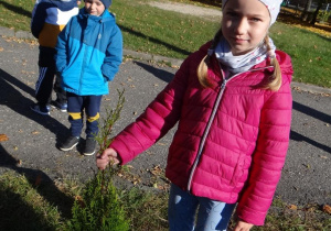 Dziewczynka pomaga sadzić drzewko