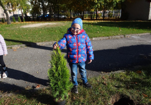 Chłopiec ze swoim drzewkiem